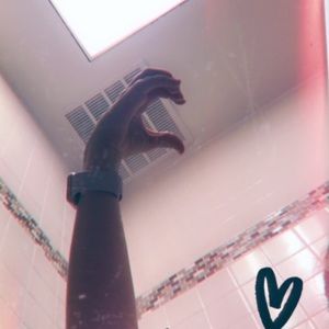 Meet your Posher, Joy